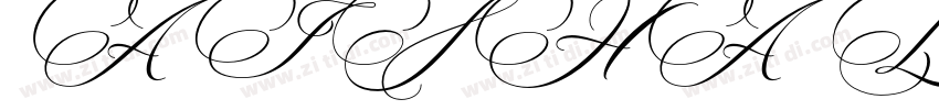 AISHA LATIN字体转换